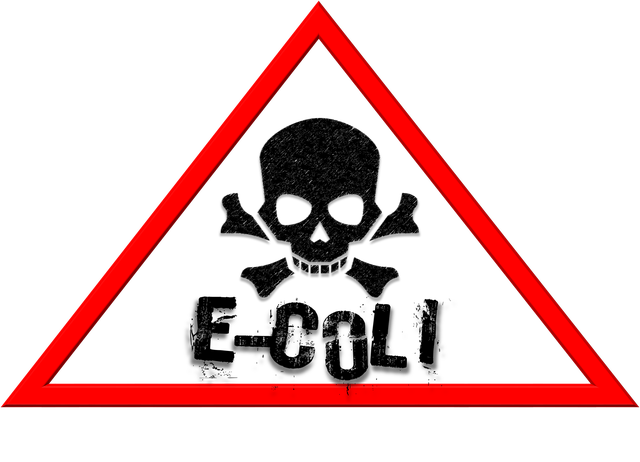 How to Identify and Avoid Food Poisoning