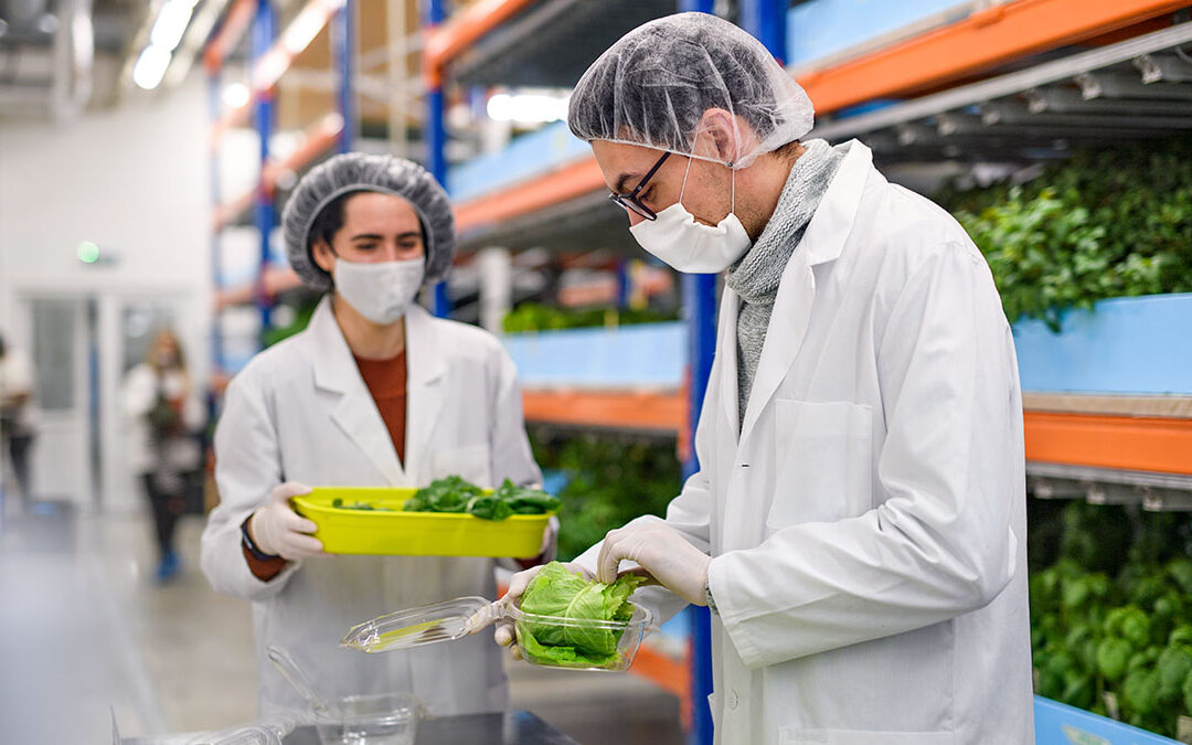 food safety laws and Legislation New South Wales